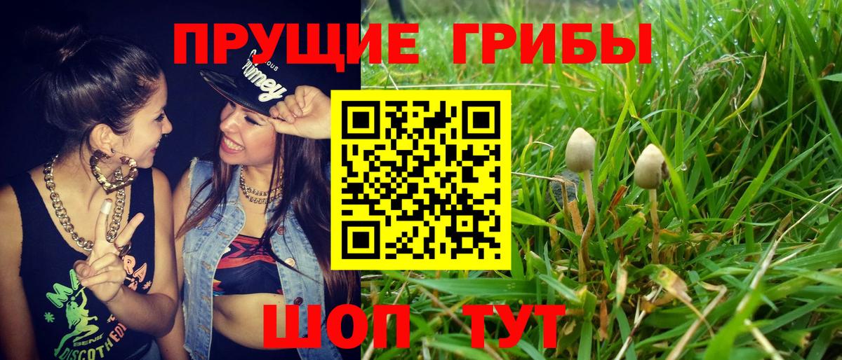 Псилоцибиновые грибы ЛСД  Вход с VPN  Скопин 